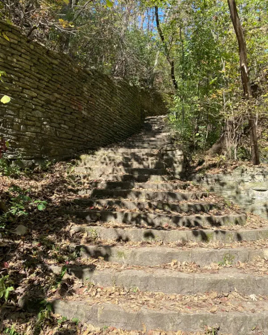 Stone steps leading up a hill with trees and foliage on a sunny day