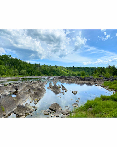 Rocks and water with trees and blue sky in the background